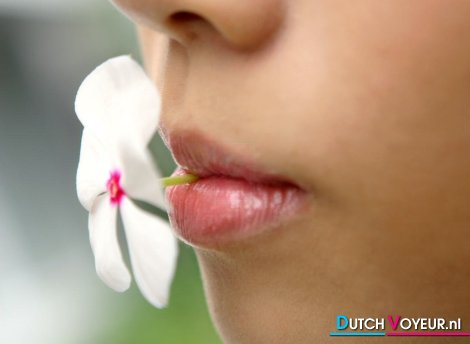 goed sletten voyeur in Nijmegen goed sletten voyeur in Nijmegen