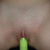 geliefde bush