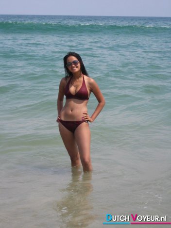 Beach Model