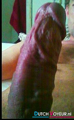 EFFE STANGEN