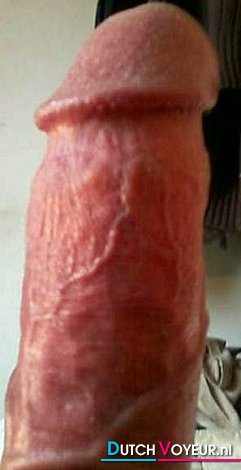 ODOL 24x7