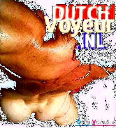 DEE VEE punt NL