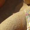 een hete nudist