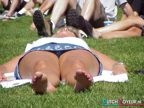 de stoute compagnon