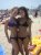 een prettige slip