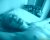 de stoute tedere mens!! :O