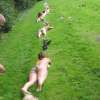een stoute jopen =O