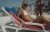 stoute bumpers