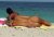 spetterende nudisten