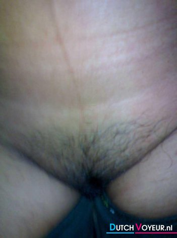 bush!!