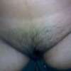 bush!!