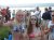 Mop hangt aan een wilde sfeer