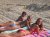 de stoute bumpers