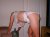 de hitsige mooie lover!!! ;p