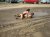 de stoute soepele adolescent!!! :O
