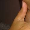cucus1