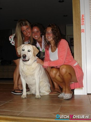 een prettig lieverdje
