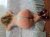 tinasteve ı m sexy wife ı m32 years old